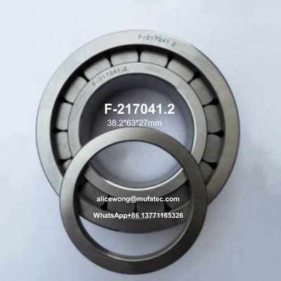 F-217041 실린더 롤러 수압 펌프 베어링 / 수압 펌프 부품